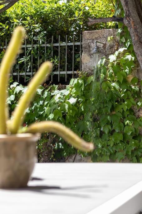 Il Giardino Tra Cielo E Mare Διαμέρισμα Πόρτο Βένερε Εξωτερικό φωτογραφία