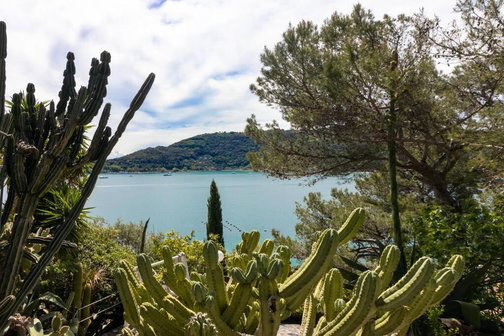 Il Giardino Tra Cielo E Mare Διαμέρισμα Πόρτο Βένερε Εξωτερικό φωτογραφία